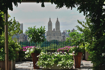 DVD: Die Gärten von New York
